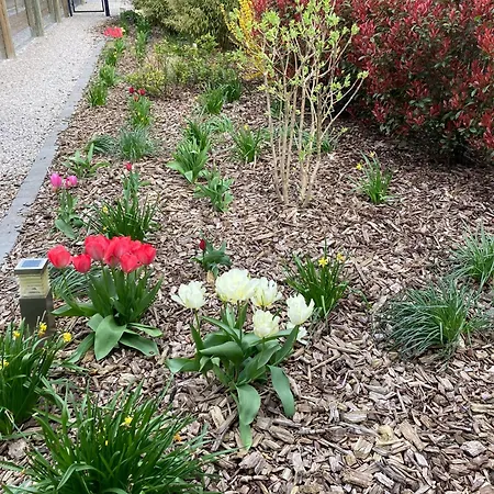 Le Des Feves Lecelles